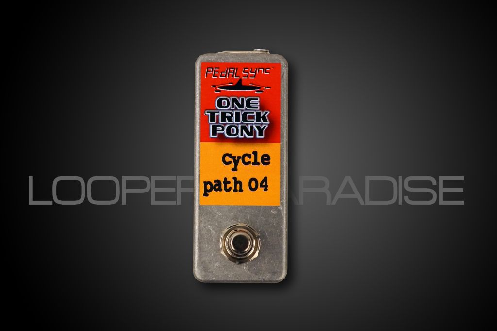 Molten Voltage PedalSync One Trick Pony - Cycle Path O4 - Whammy 4 Select