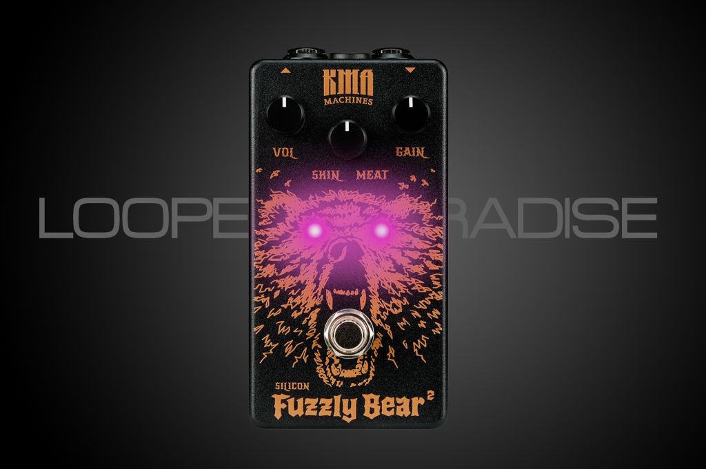  Fuzzly Bear 2
