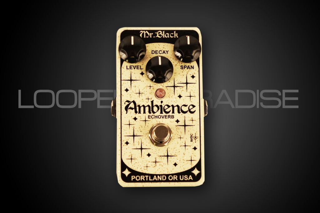 Mr. Black Pedals Ambience Echoverb